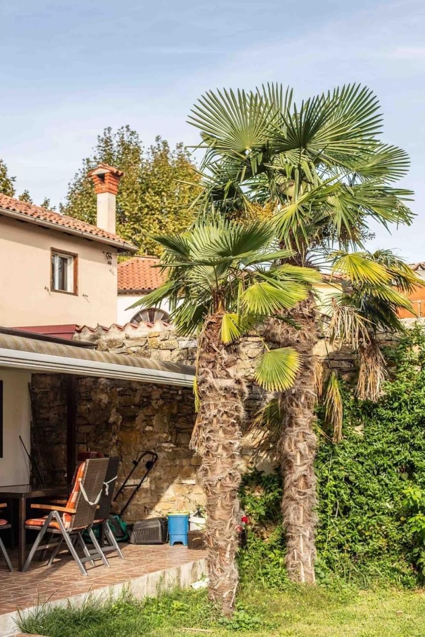 Cozy Corner Apartment Koper Exterior foto